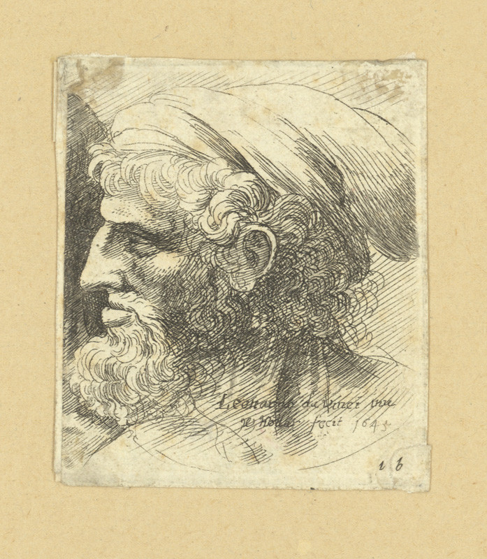 Václav Hollar - Hlava starce, podle Leonarda da Vinci 