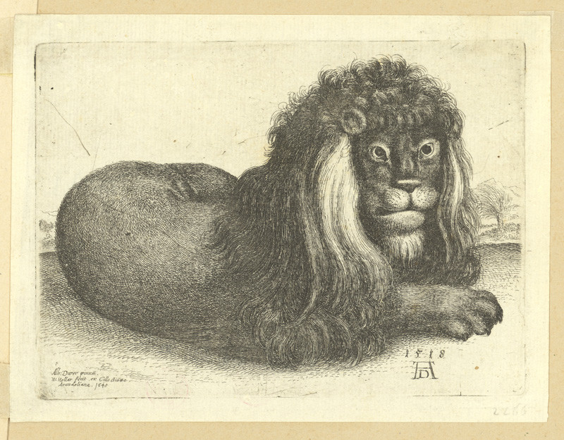 Václav Hollar - Ležící lev, podle Albrechta Dürera 
