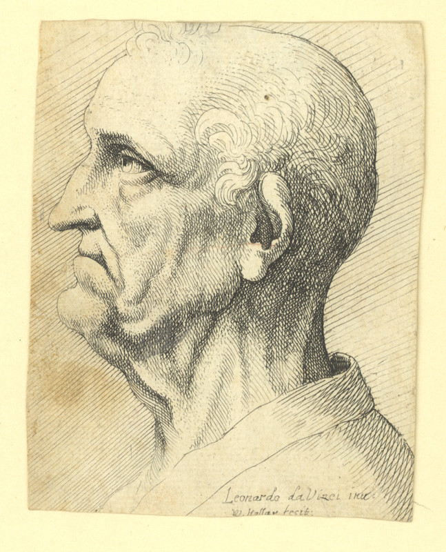 Václav Hollar - Profil staršího muže, podle Leonarda da Vinci 