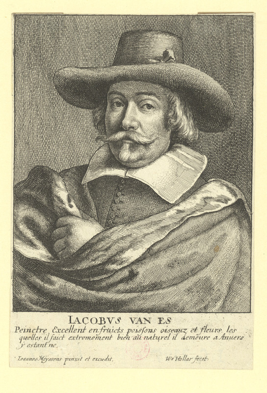 Václav Hollar - Jacobus van Es, podle Joannese Meyssense 