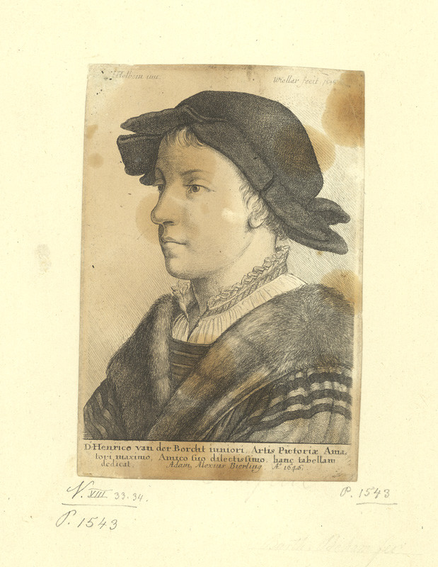Václav Hollar - Portrét mladíka, podle Hanse Holbeina 